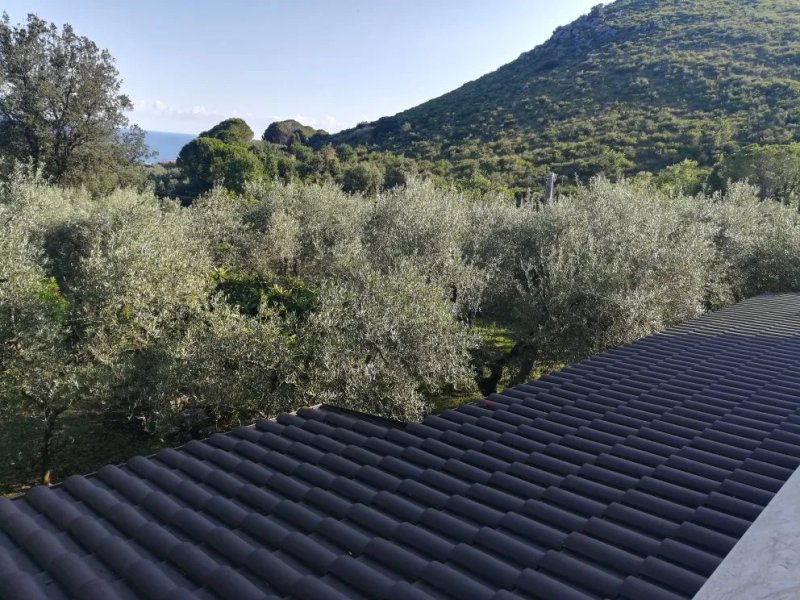 B&B Villa Ada