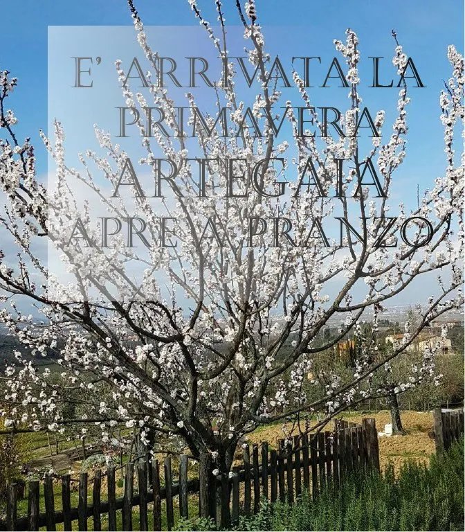 Artegaia