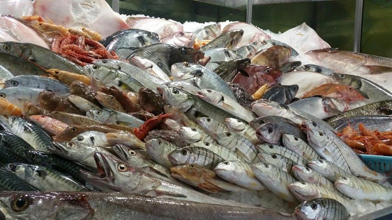 Gastronomia Del Pesce Egan Mar- Di Biase Infernetto