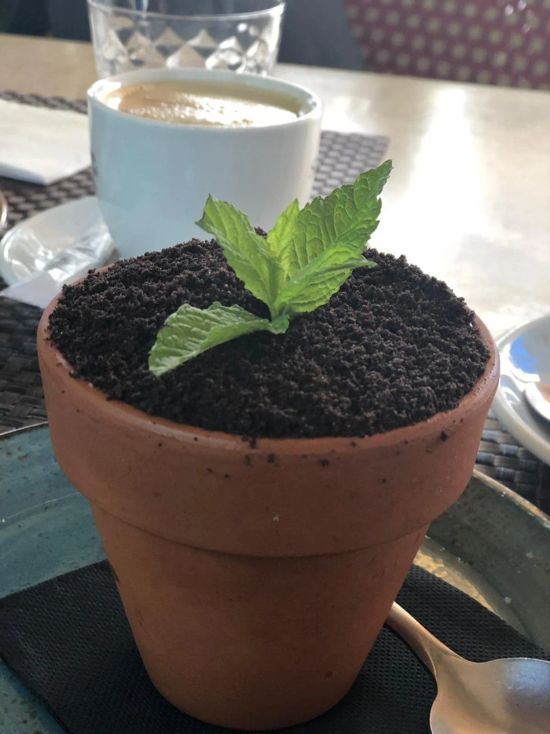 Nueva Italiana