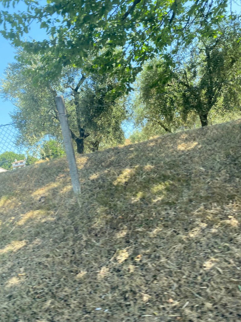 Chiocchio'