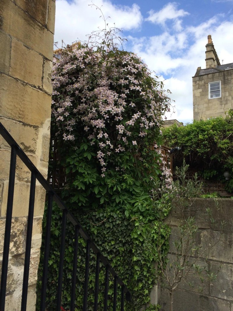 Colonna and Small's Speciality Coffee