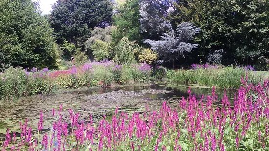 Gooderstone Water Gardens & Nature Trails