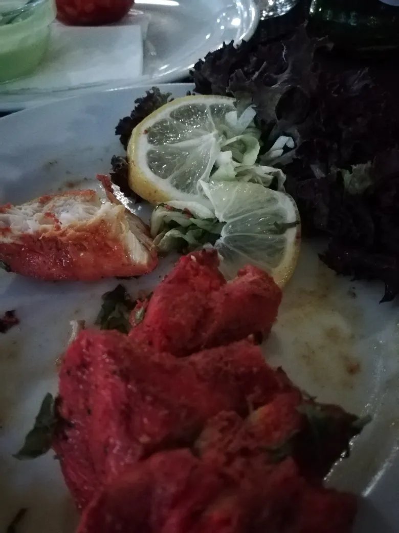 taste of india