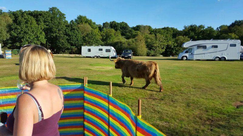 Aldridge Hill Campsite