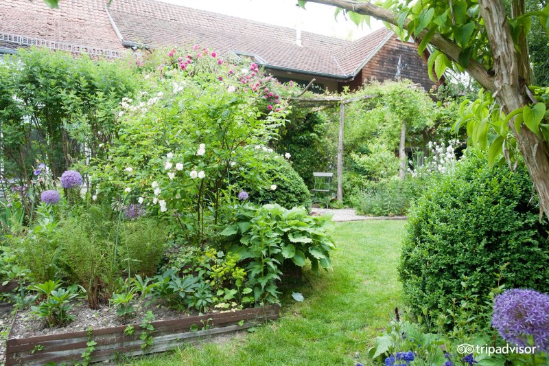 Ambiance-Jardin