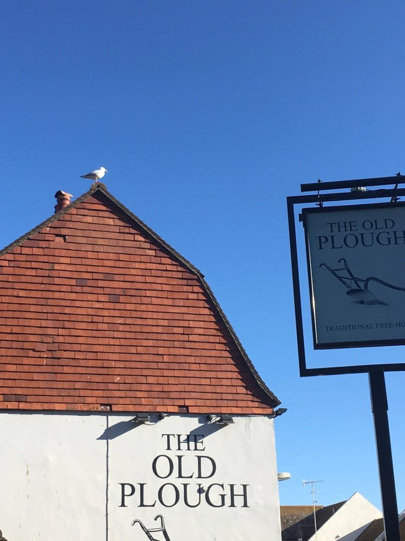 The Old Plough