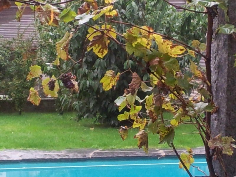 Hotel Villa Selva