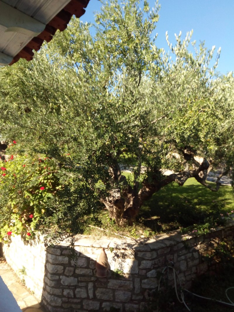 Koroni Village