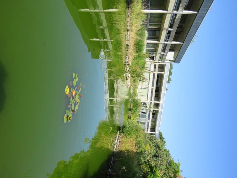Egrove Park