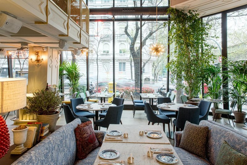 Sushita Cafe - Miguel Angel