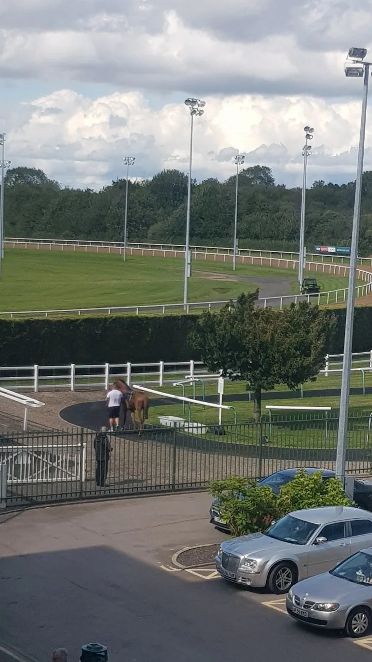 Holiday Inn Wolverhampton - Racecourse, an IHG hotel