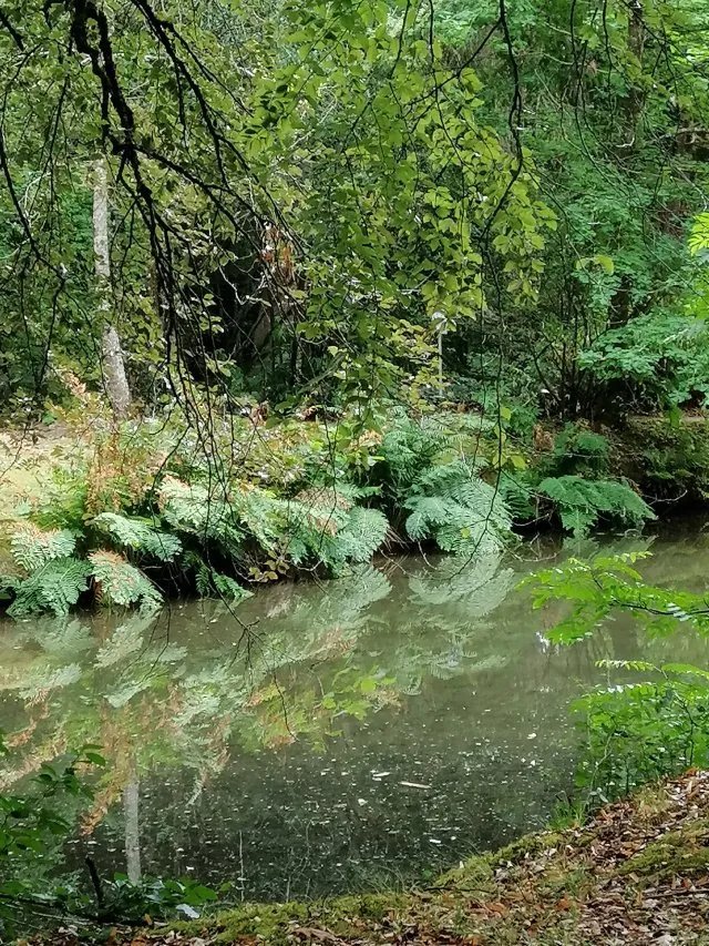 Arboretum de Balaine