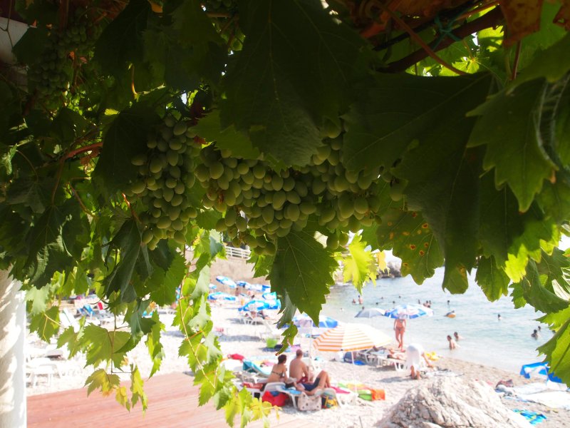 Taverna Plat