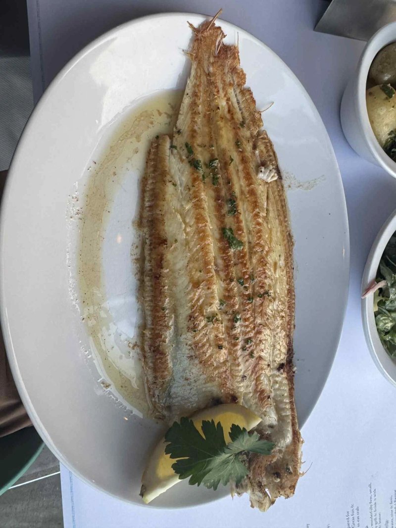 Rockfish Brixham