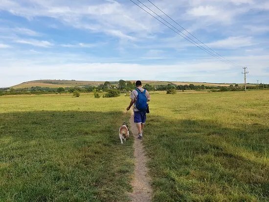 Adur River Walk