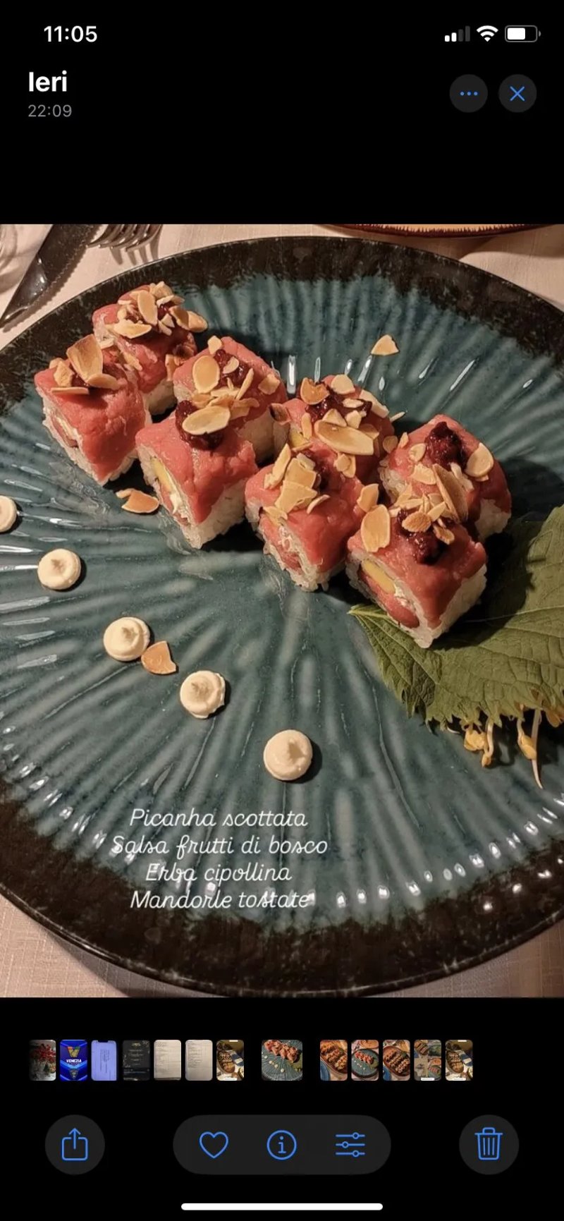 Carnivori