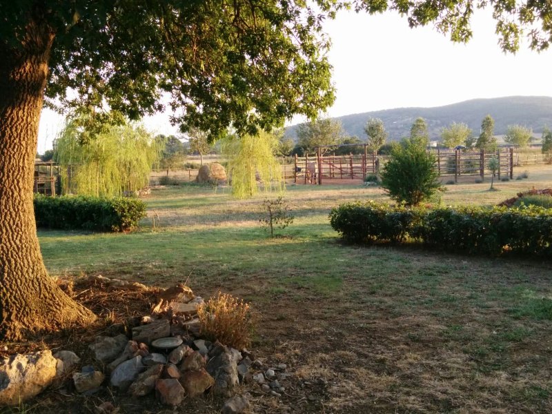El Molino