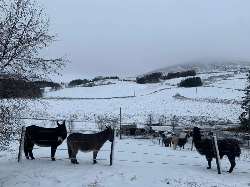 Glenshee Glamping