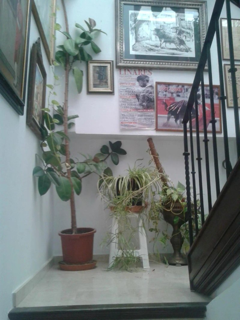 OYO Casa Aljibe de Santa Ana