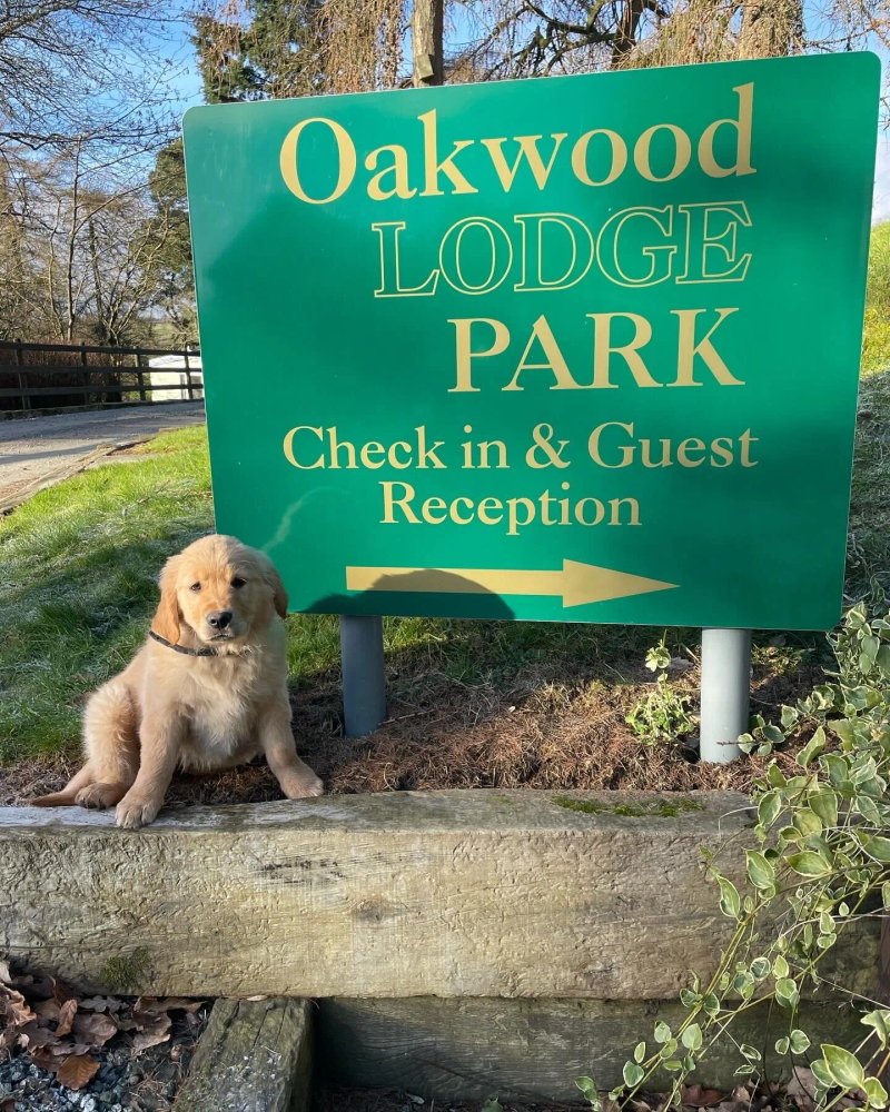 Oakwood Lodge Park