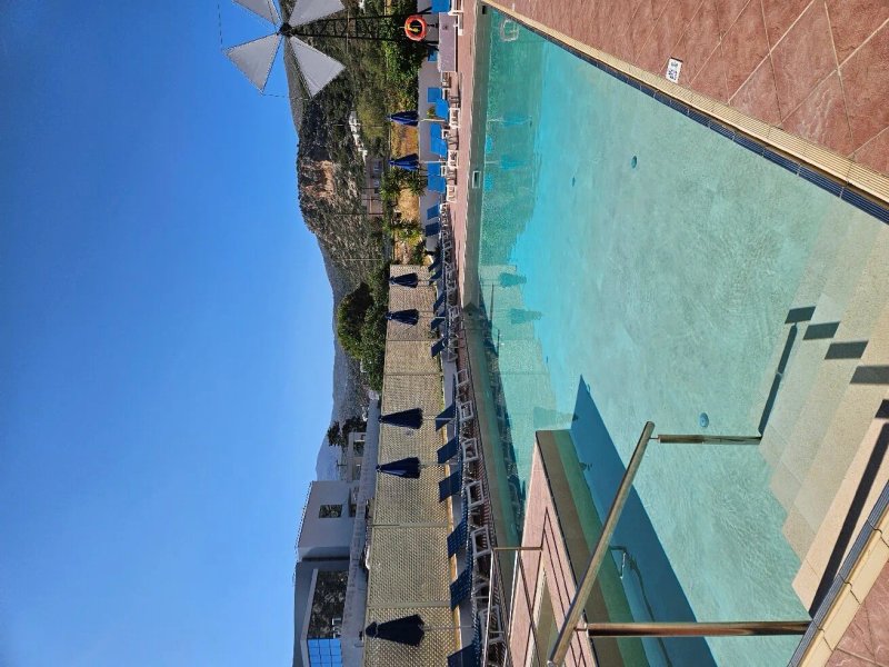 Paradise Apartments