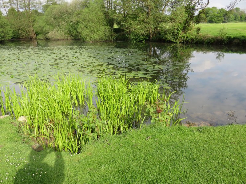 Leeds Castle - Holiday Cottages