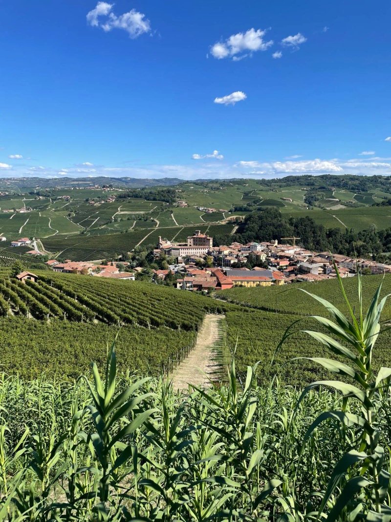 My Tuscan Style Tours