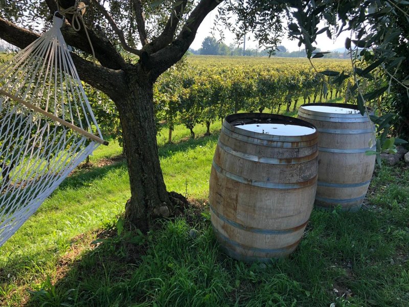 Agriturismo Tenuta Ambrosini