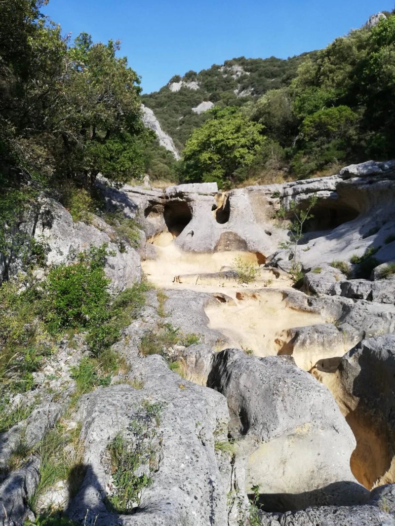 Domaine des Blachas
