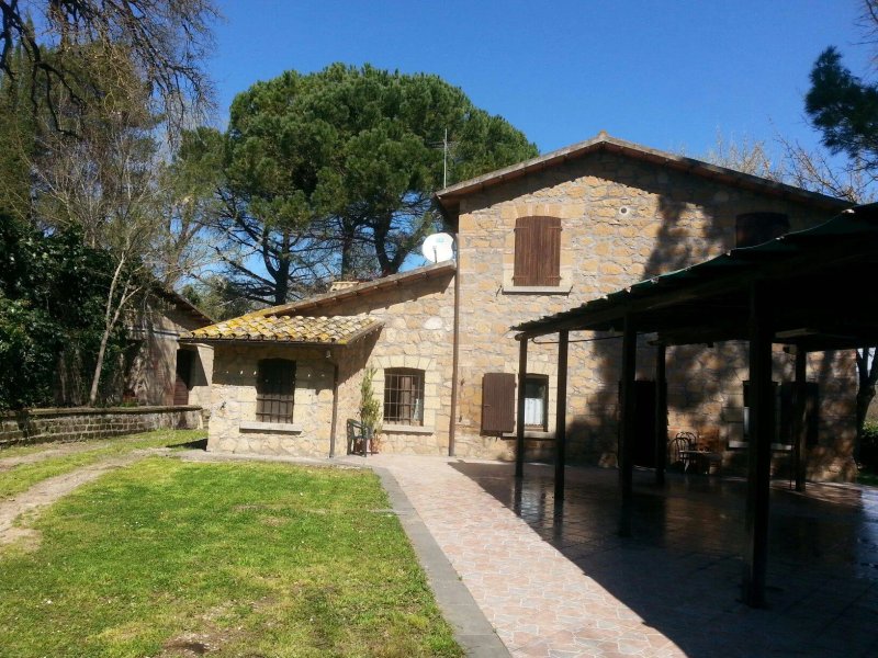 Mola Solis