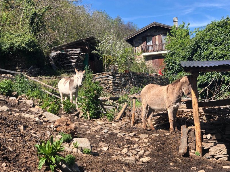 La Cantina Di Tappia