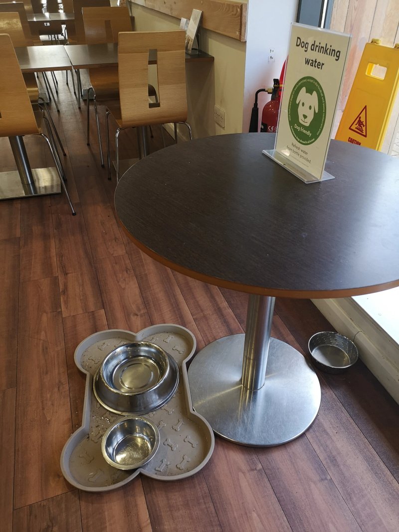 Dobbies Garden Centre Inverness