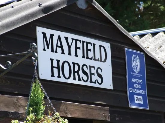 Mayfield Horse Riding Stables