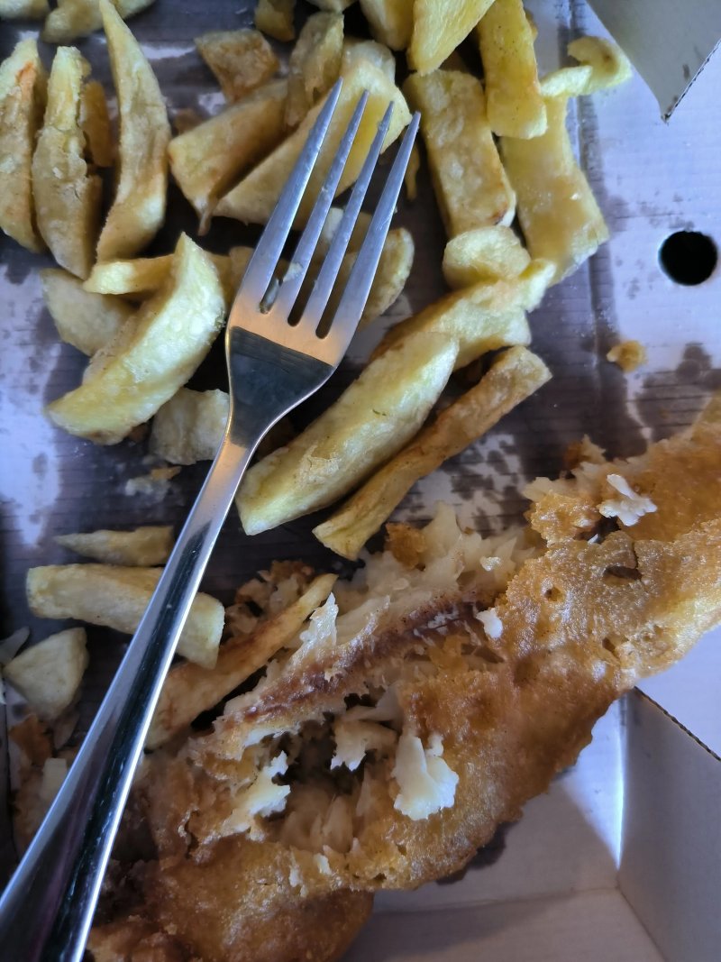 Stockton Fryer