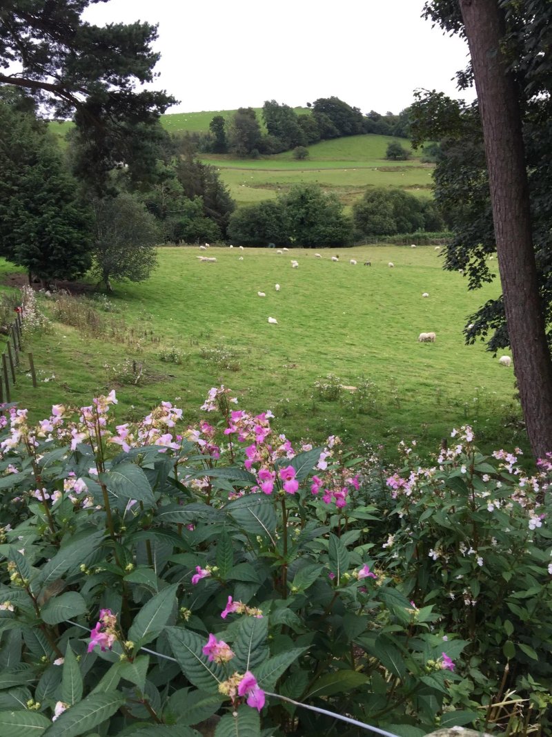 Cyffdy Farm Cottages
