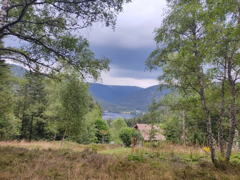 Le Domaine de Longemer