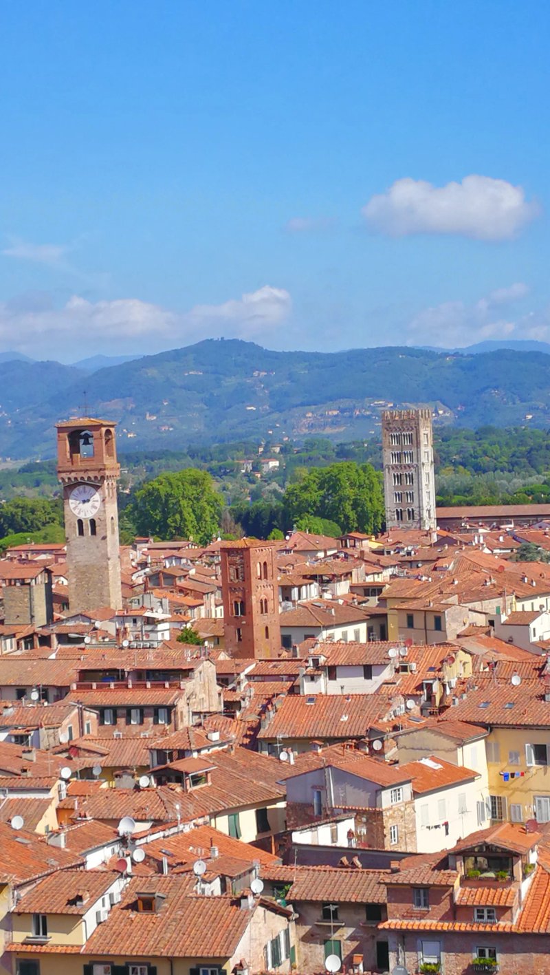 Campanile Del Duomo Di San Martino