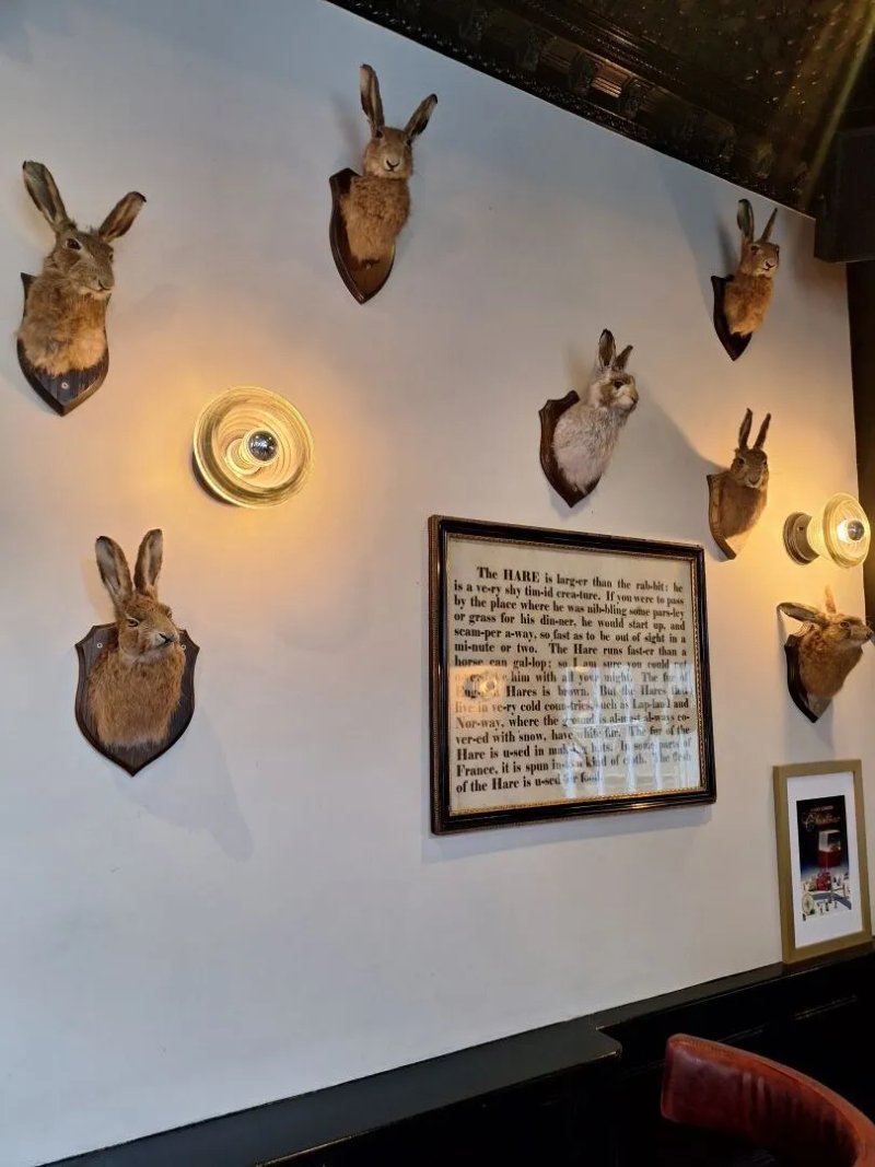 The Jugged Hare