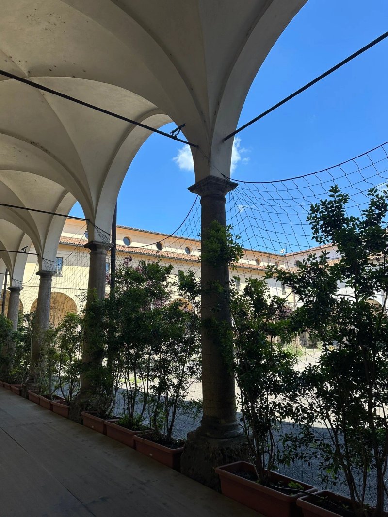 Cloisters Of Sant'eustorgio