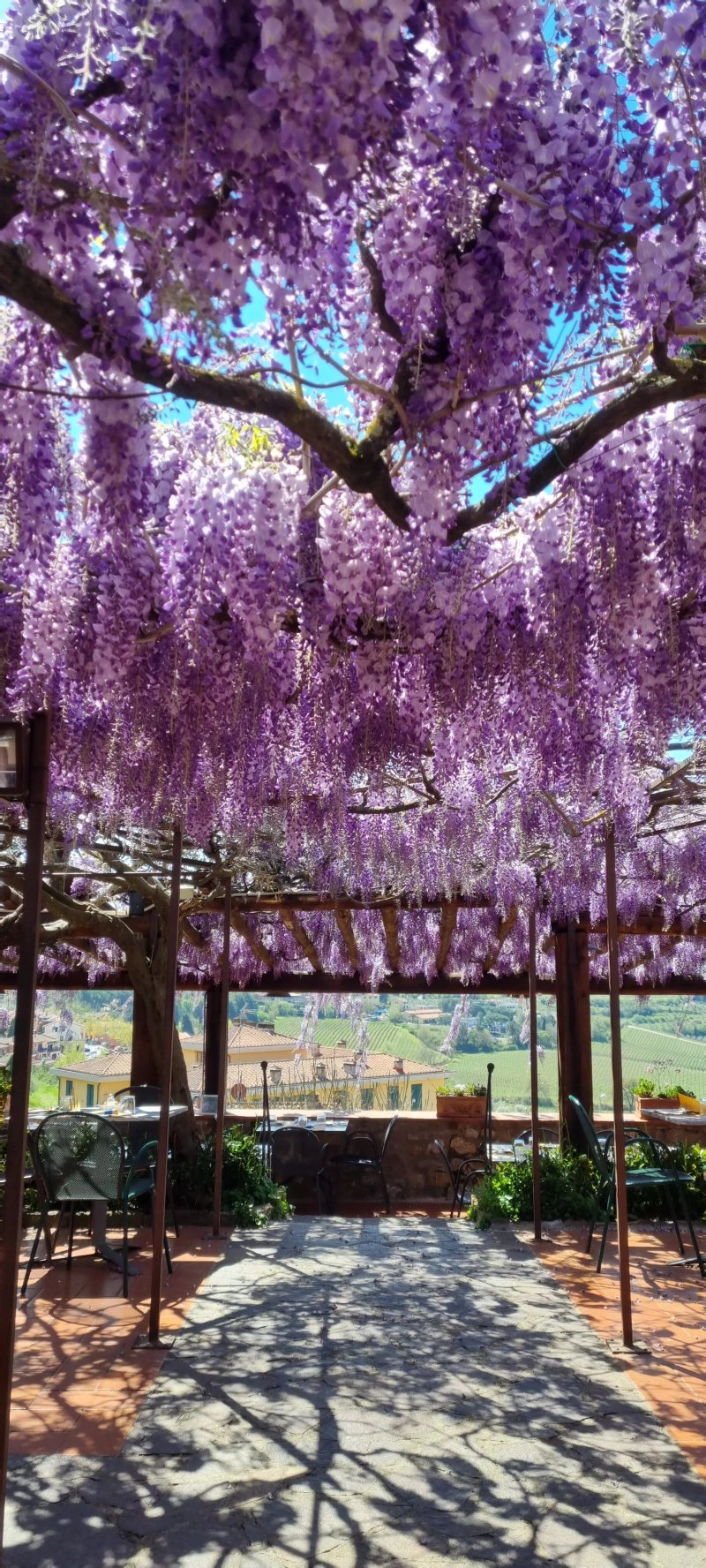 Oltre Il Giardino