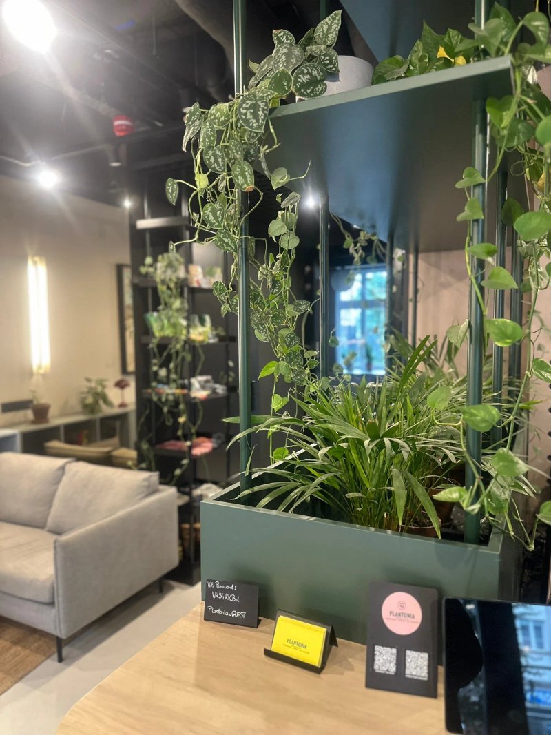 Plantonia Aparthotel