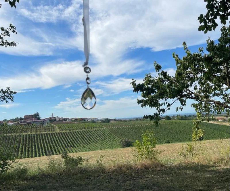 La Barlocca Agriturismo