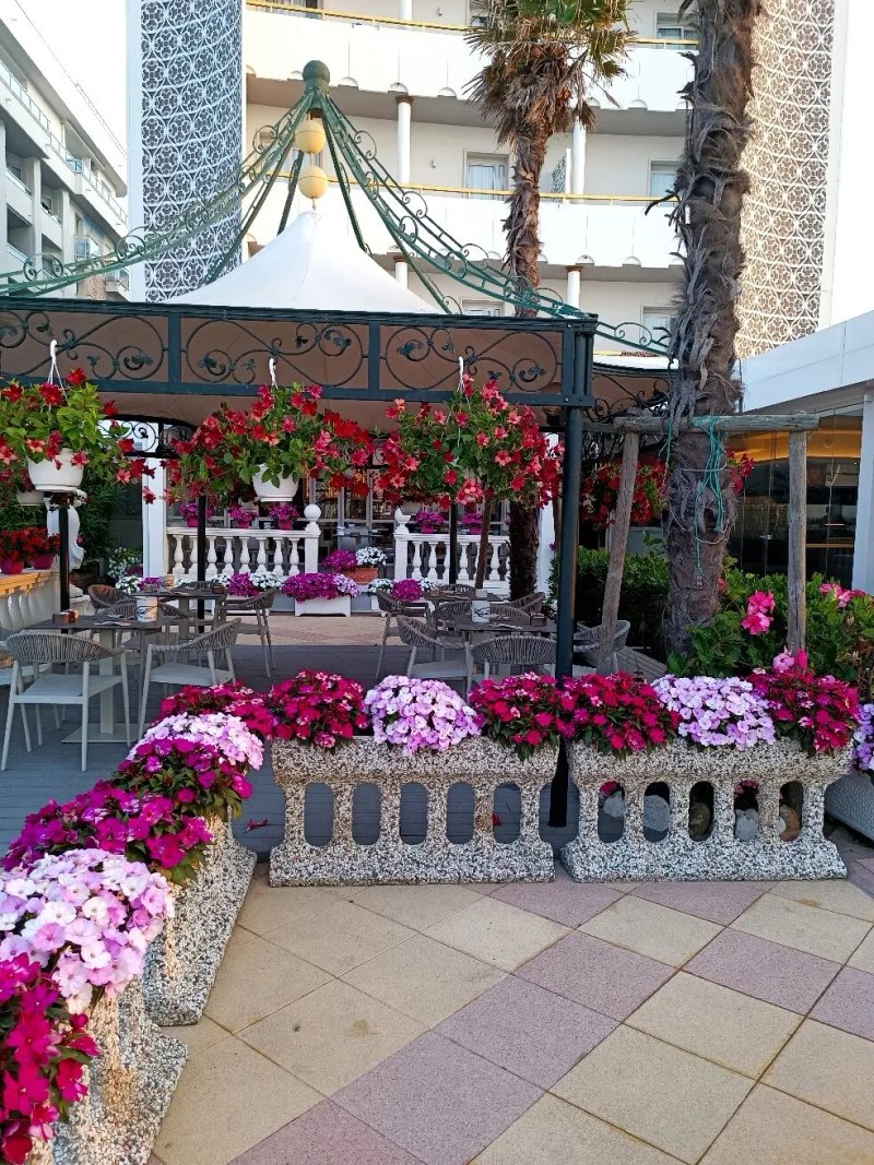 Luxor & Cairo Wellness Hotel