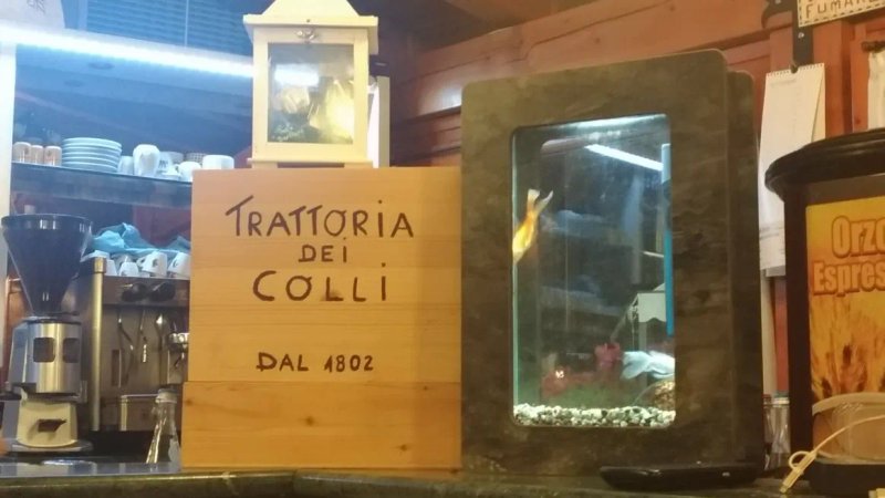Trattoria dei Colli