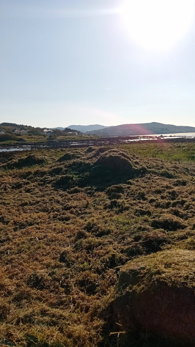 Bridge Inn Bar & Studio Apartments Dungloe