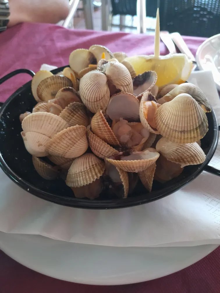 Bar Chouza