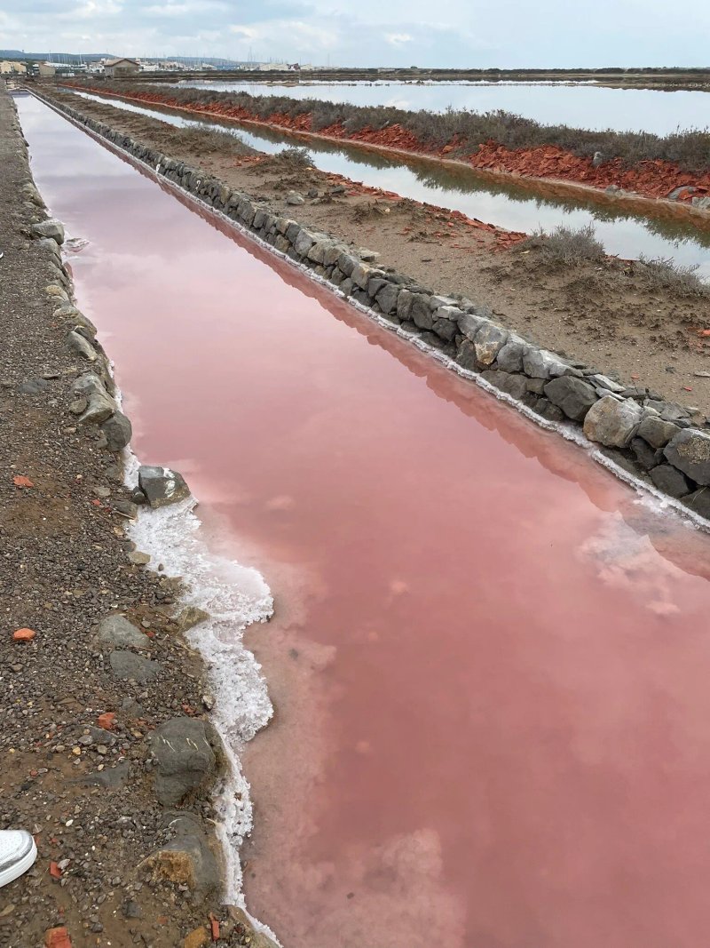 Le Salin de Gruissan