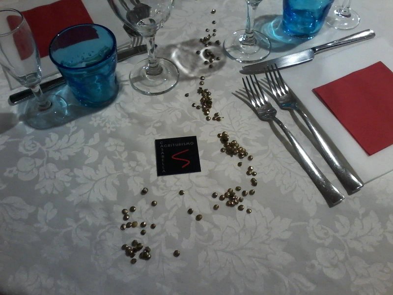 APS Casabella
