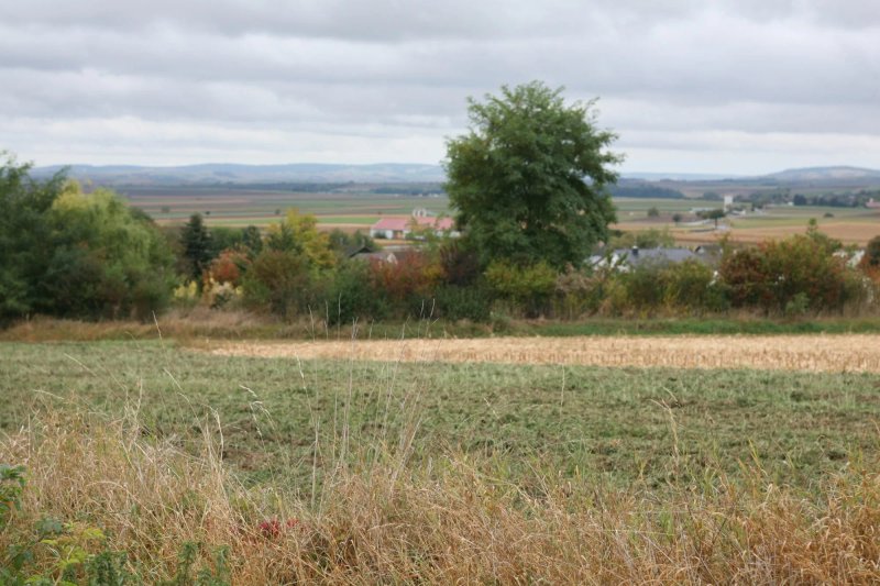 Traubengarten Winkler